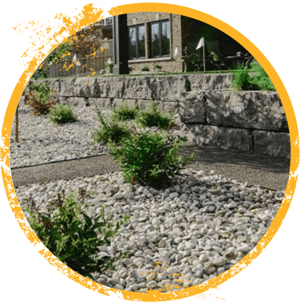Xeriscaping
